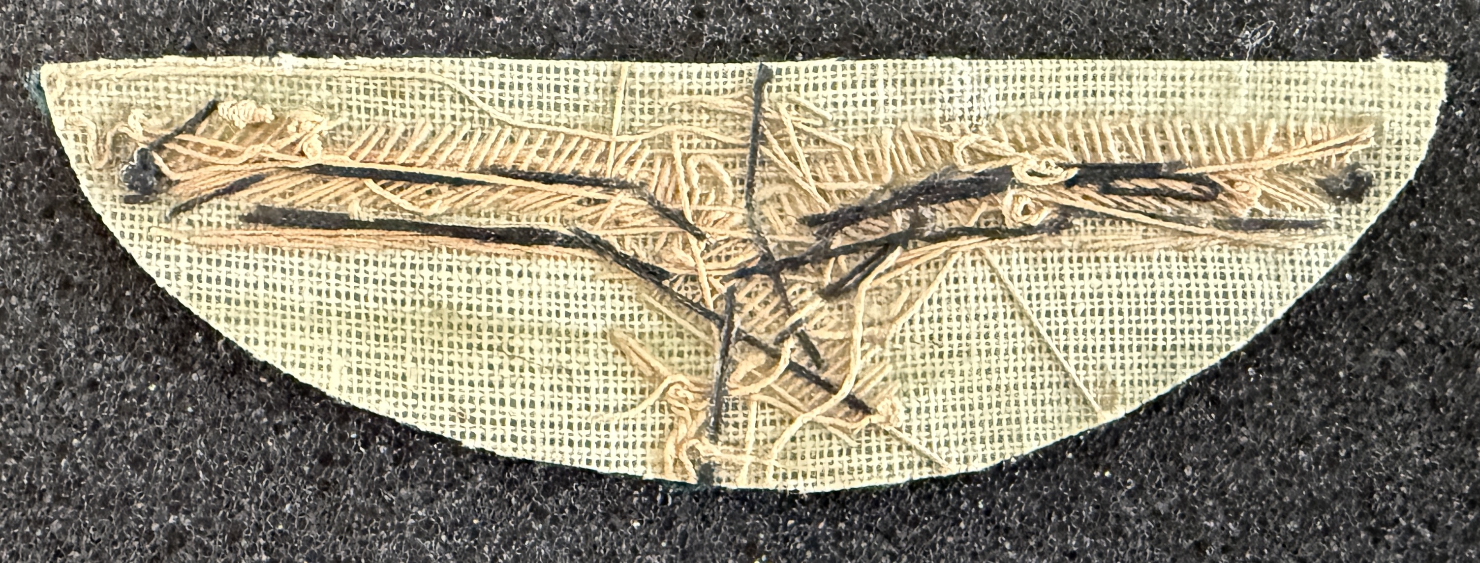 Image of Air Afrique Pilot wing