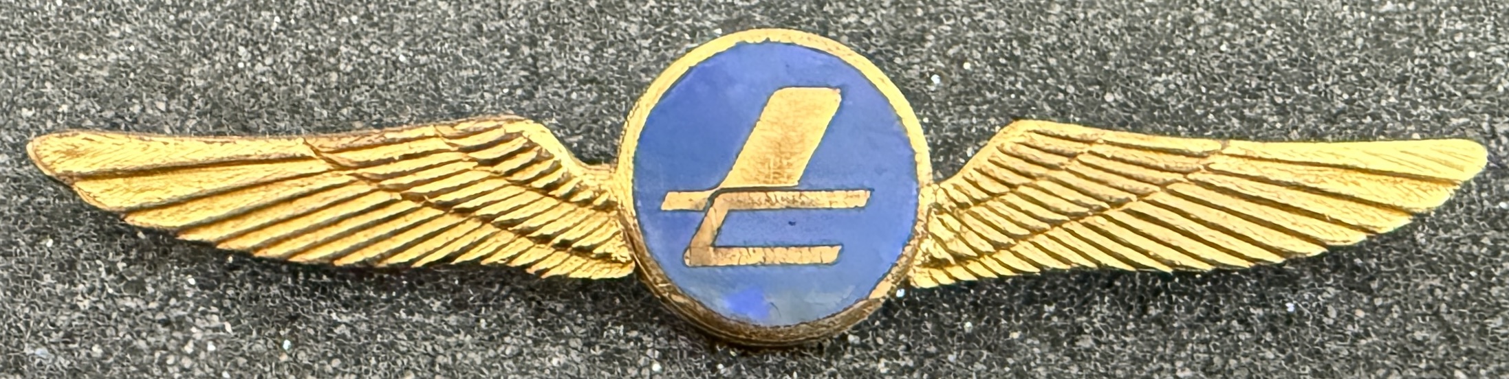 Zambian Air Cargoes Pilot