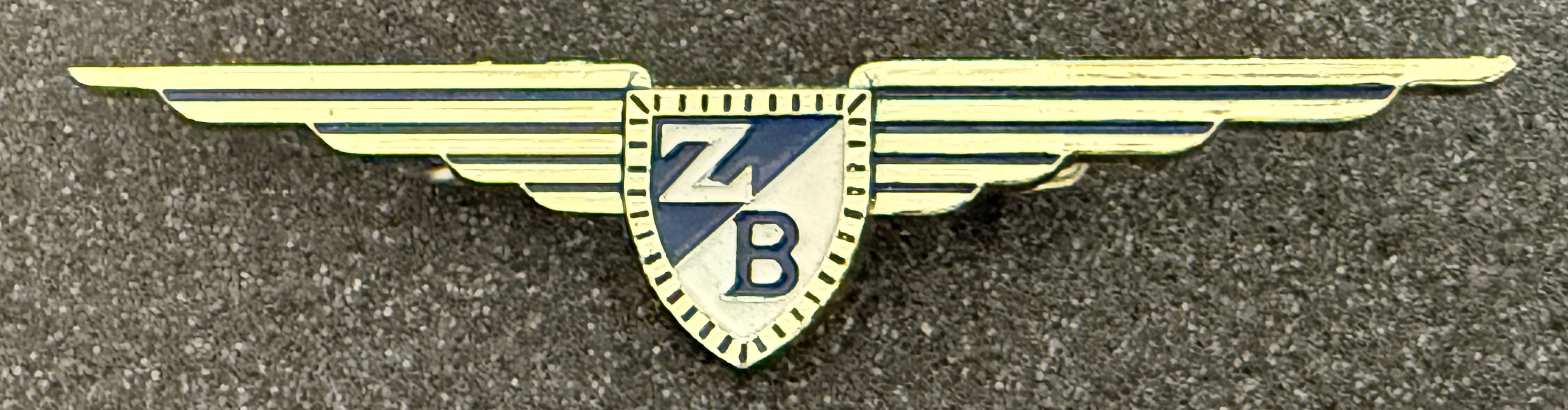 ZB Air - Z. Boskovic Air Charters Pilot