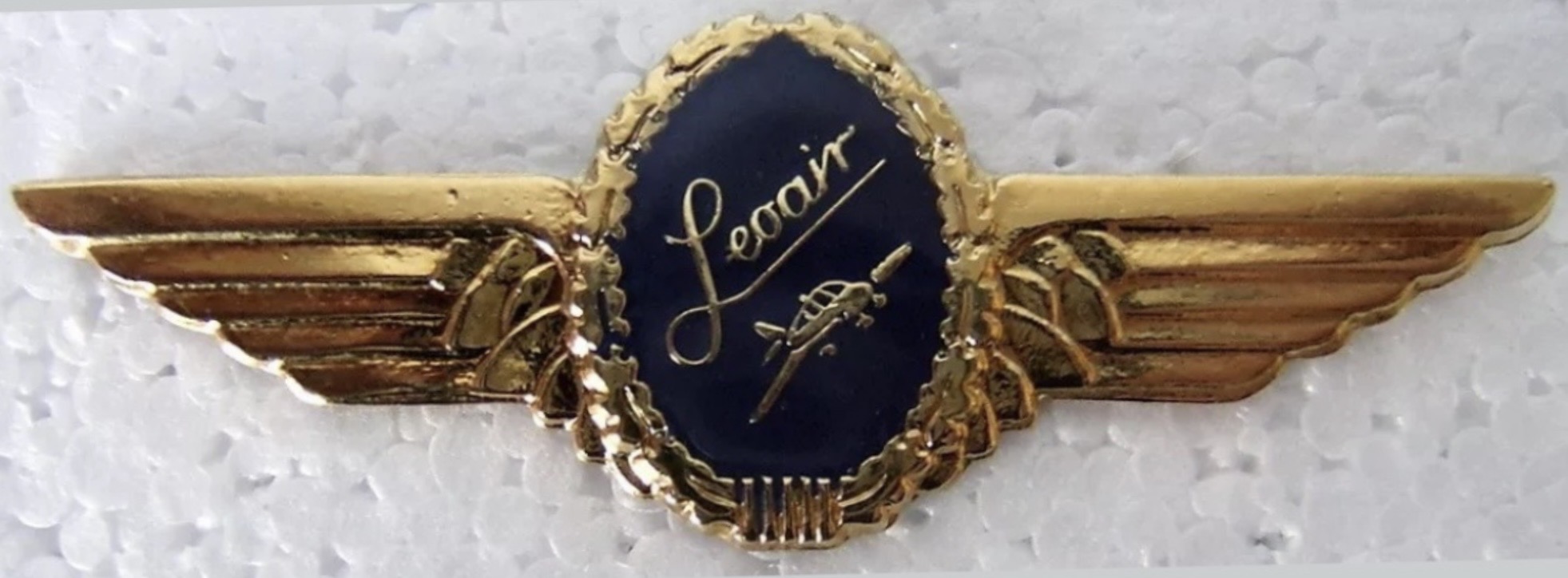 Leoair Aviation Training Pilot