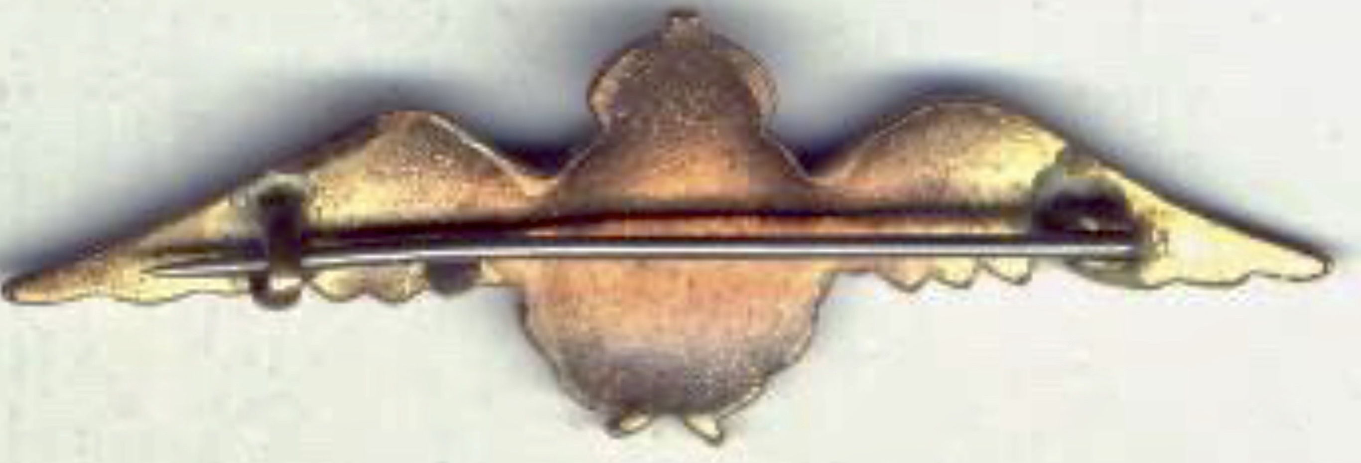 Image of Air Force Pilot wing