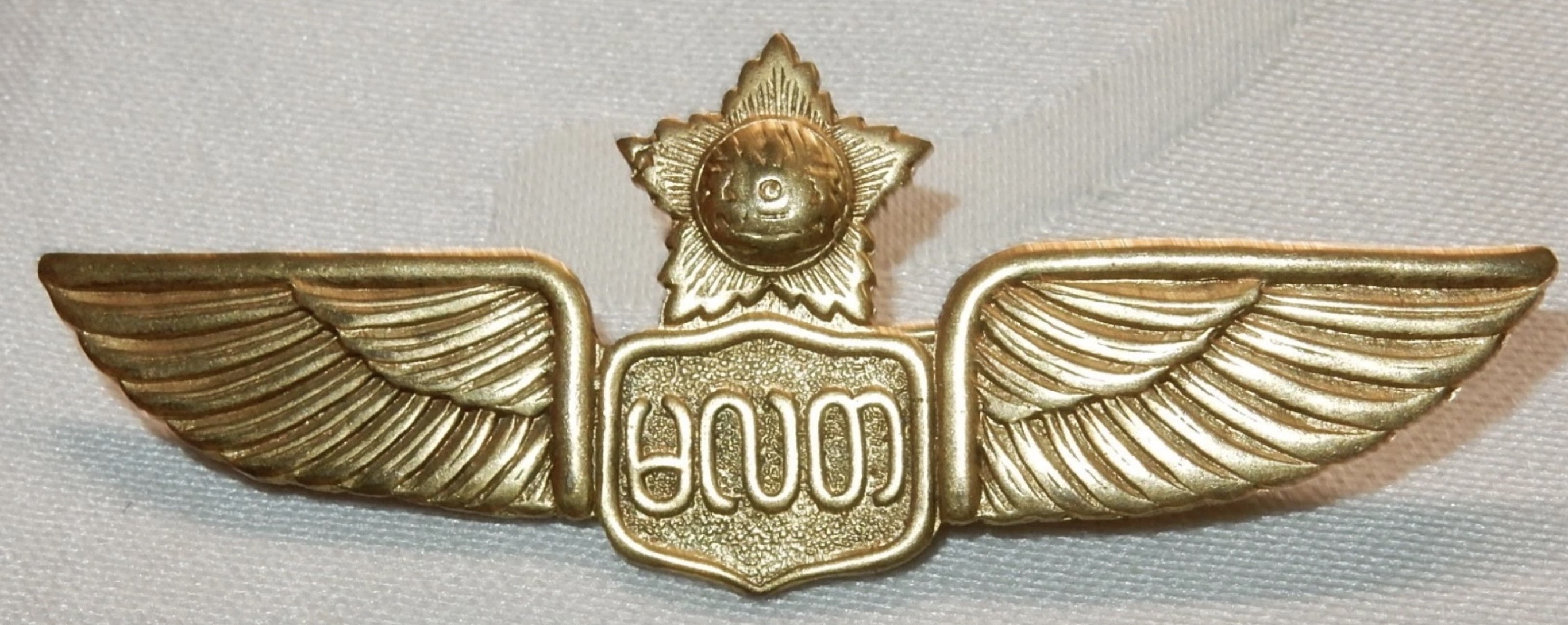 Burma Air Force Pilot