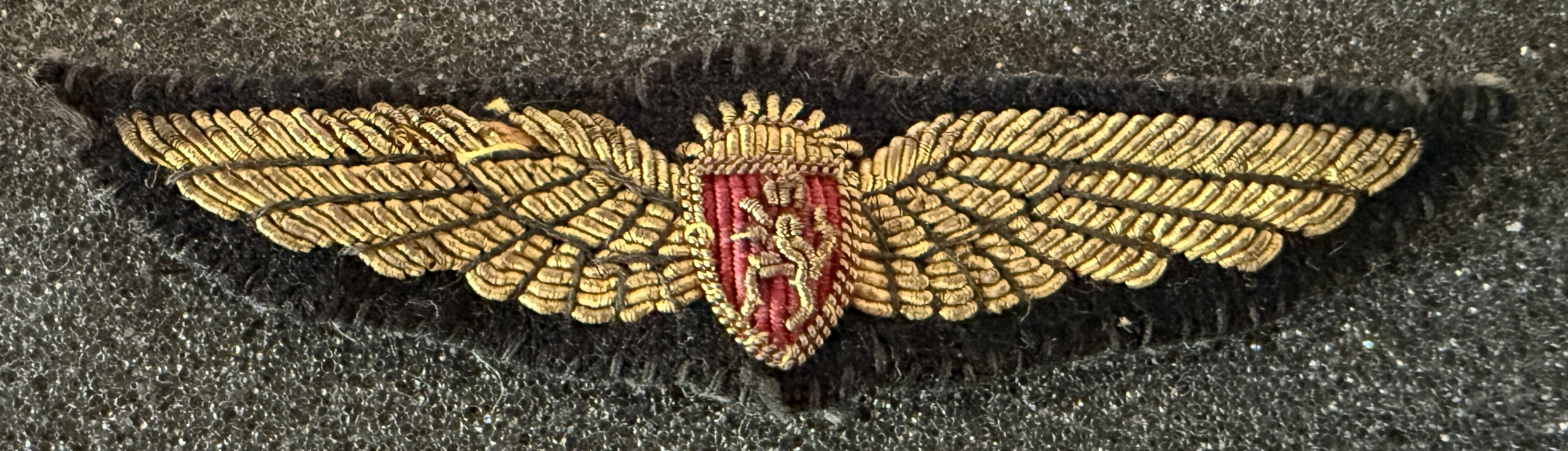 Air Malawi Pilot