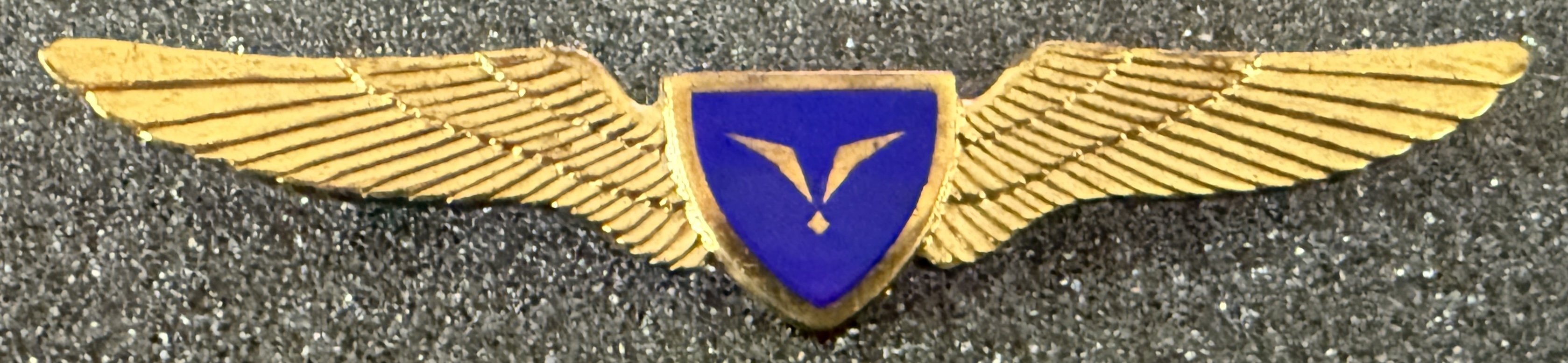 Central African Airways (CAA) Pilot