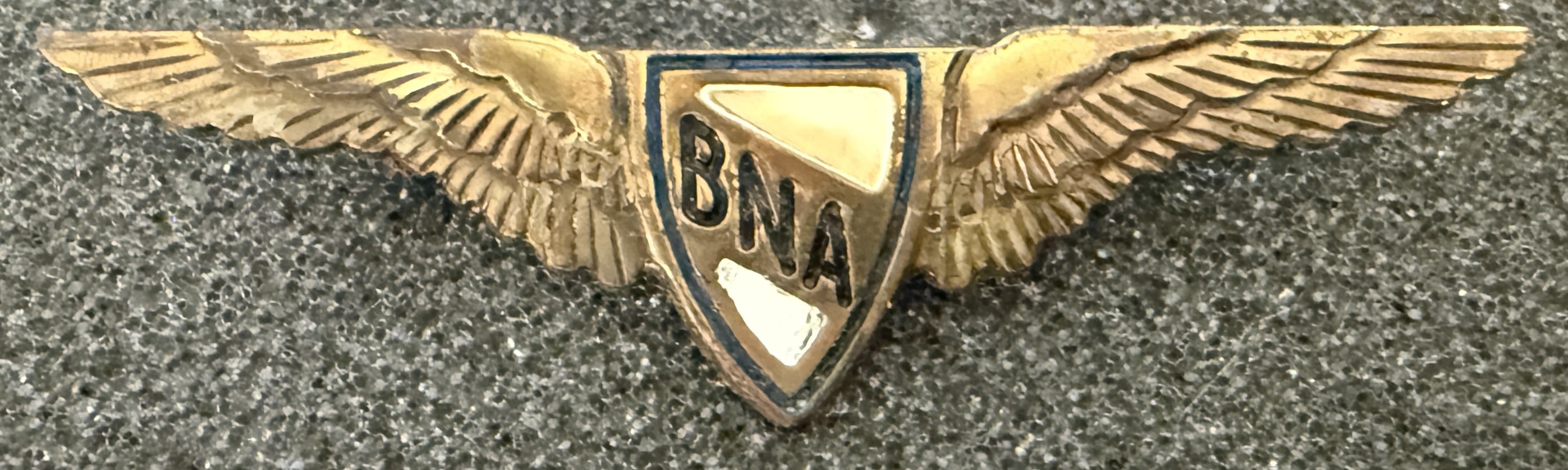 Botswana National Airways (BNA) Pilot