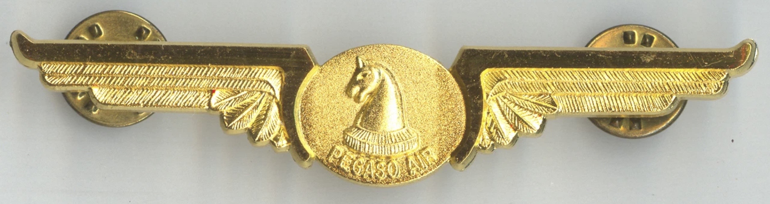 Pegaso Air Pilot