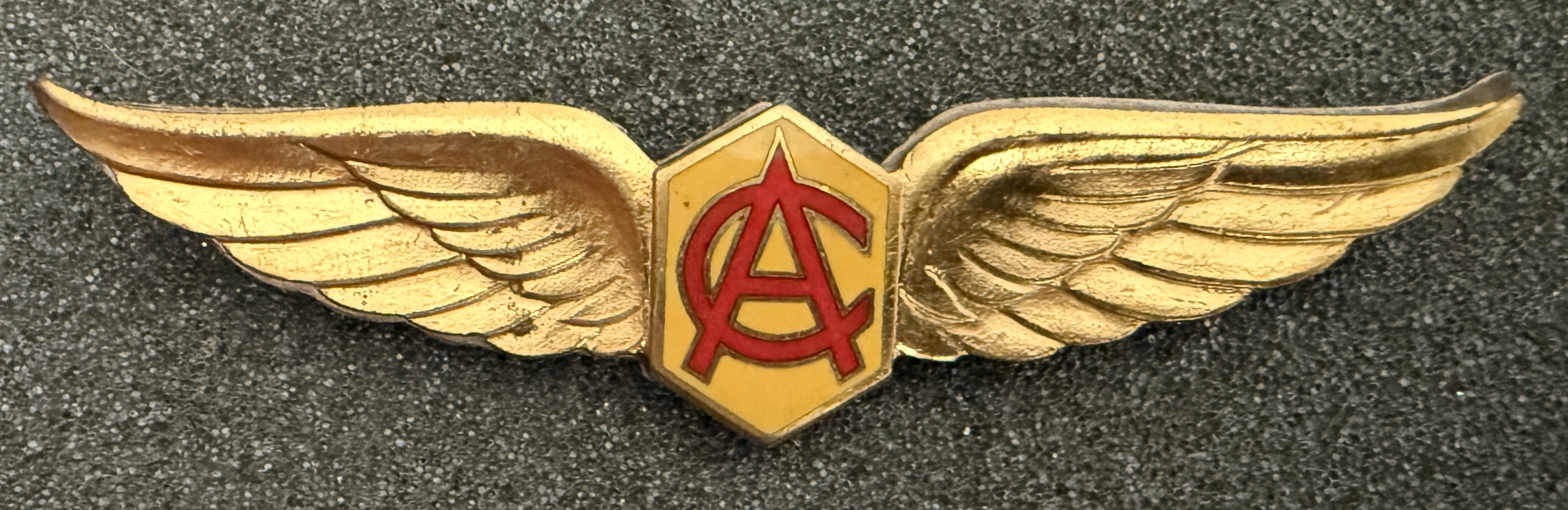 Air Ceylon (AC) Pilot