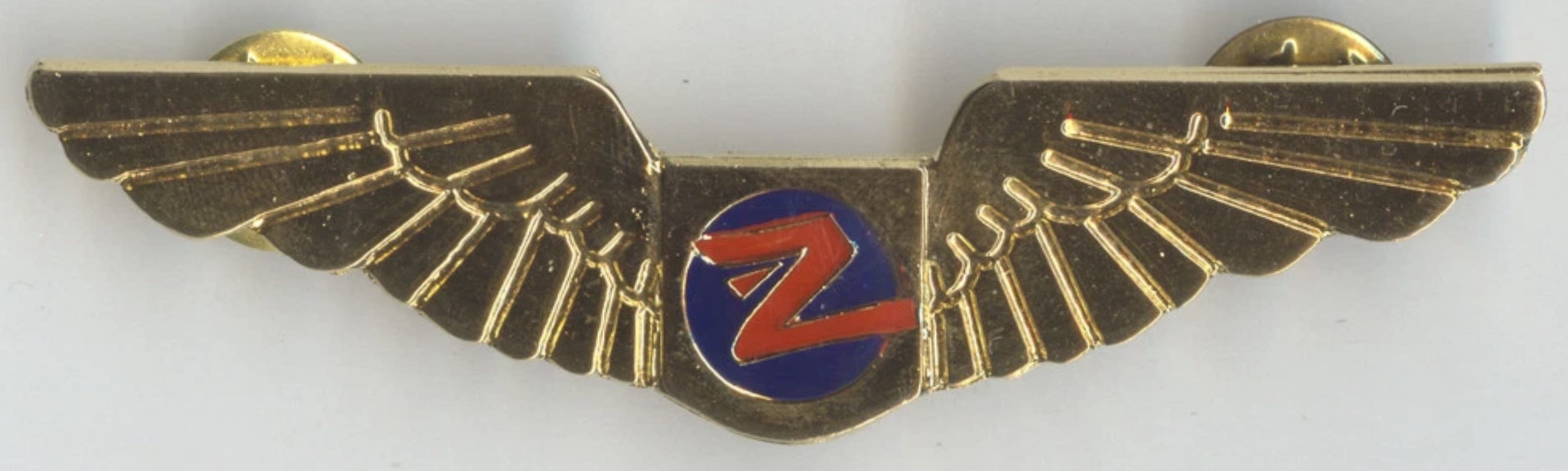 Zimbabwe Express Airlines Pilot