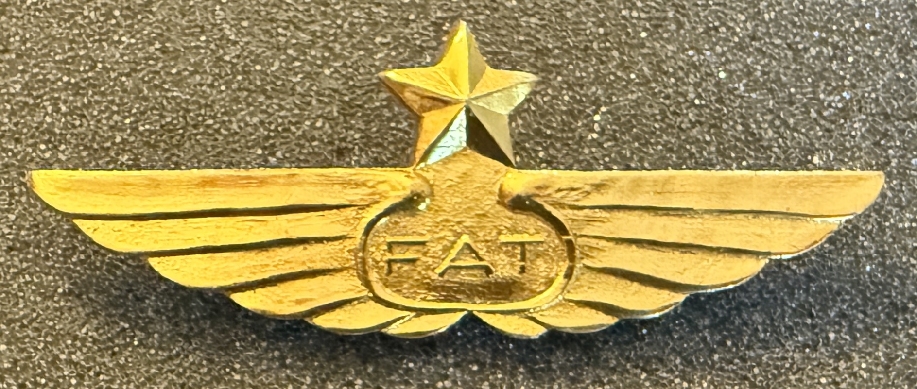 Image of Far Eastern Air Transport (FAT) Captain wing