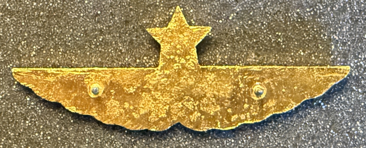 Image of Far Eastern Air Transport (FAT) Captain wing
