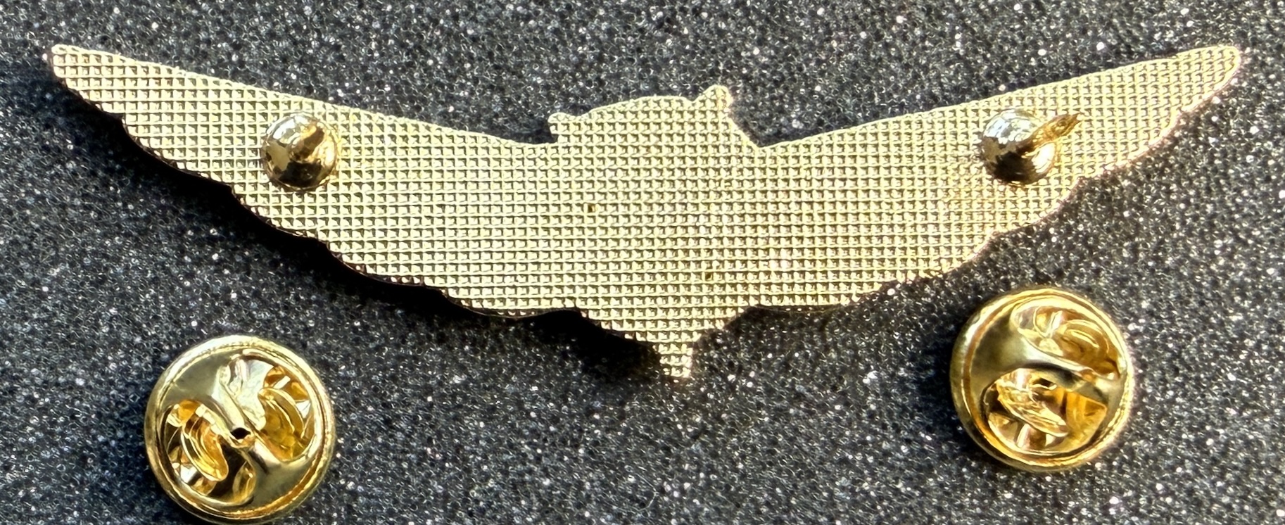 Image of AirSial (Air Sial) Pilot wing