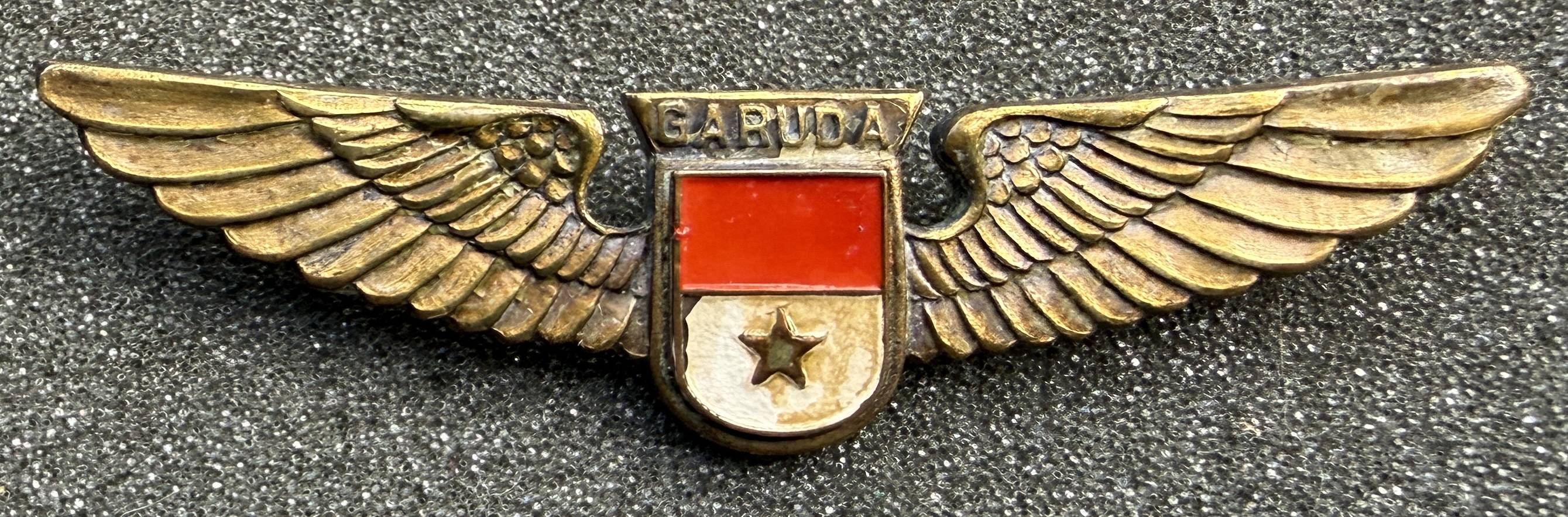 Garuda Indonesia Pilot