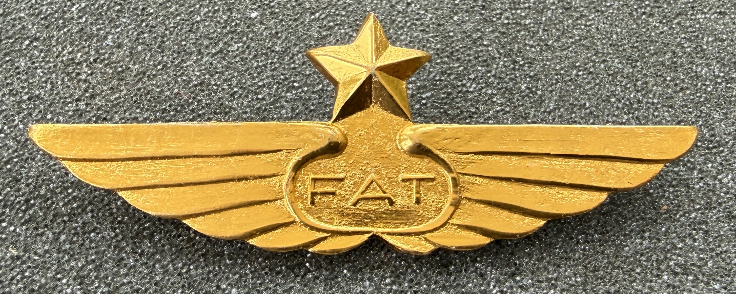 Image of Far Eastern Air Transport (FAT) Captain wing