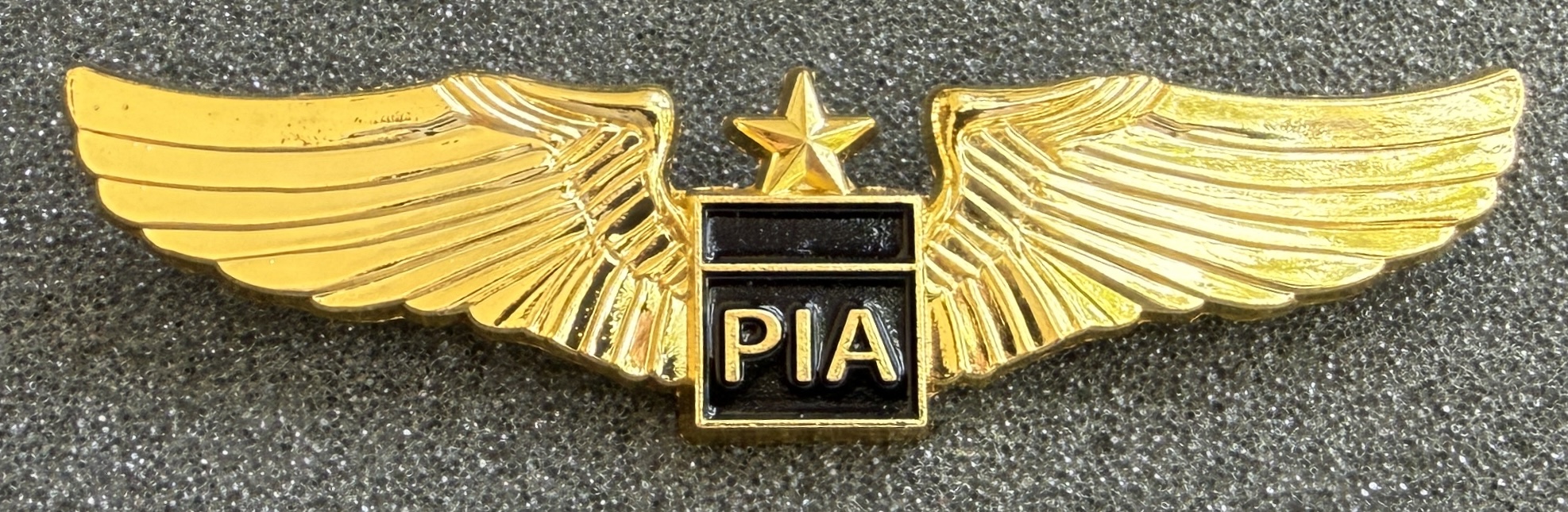 Pakistan International Airlines (PIA) Pilot (10 Years of Service)
