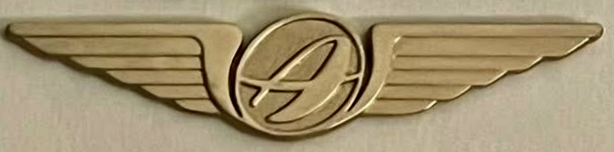 Image of Air Atlanta Iceland Pilot wing