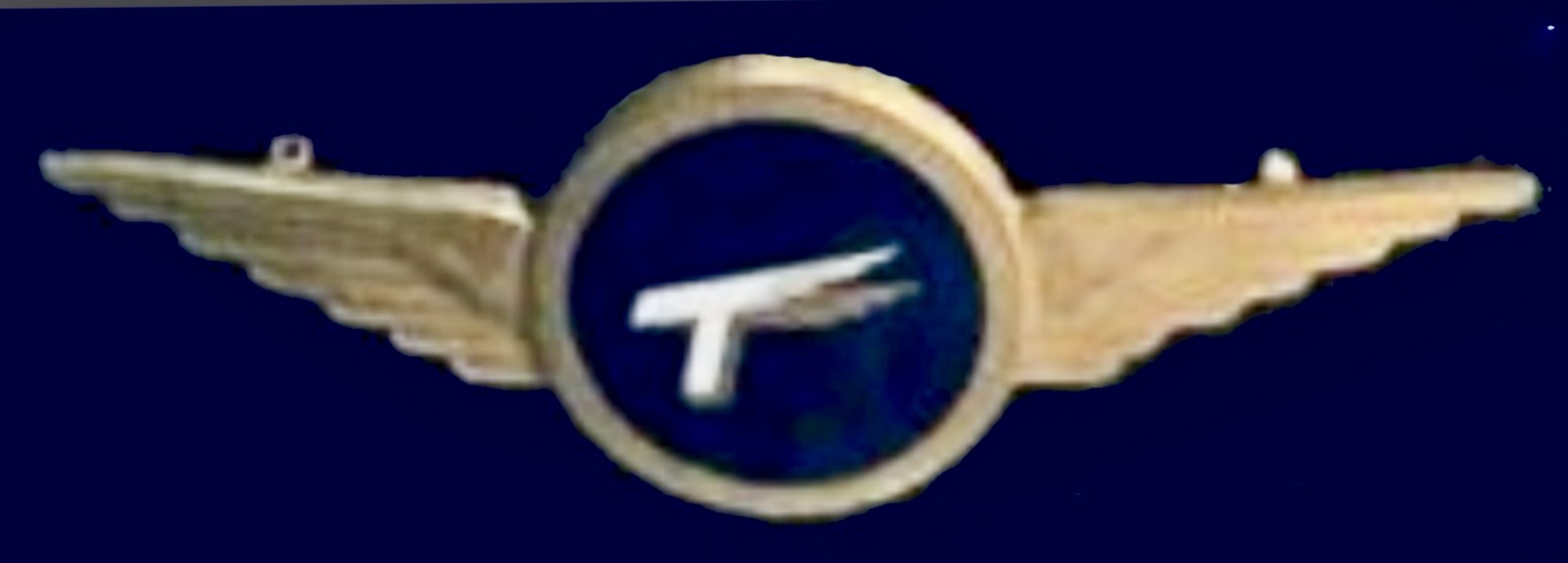 Image of Transcontinental (TSA) Pilot wing