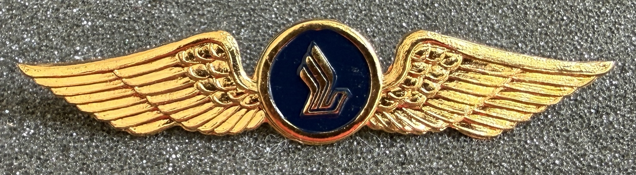 Singapore International Airlines (SIA) Pilot