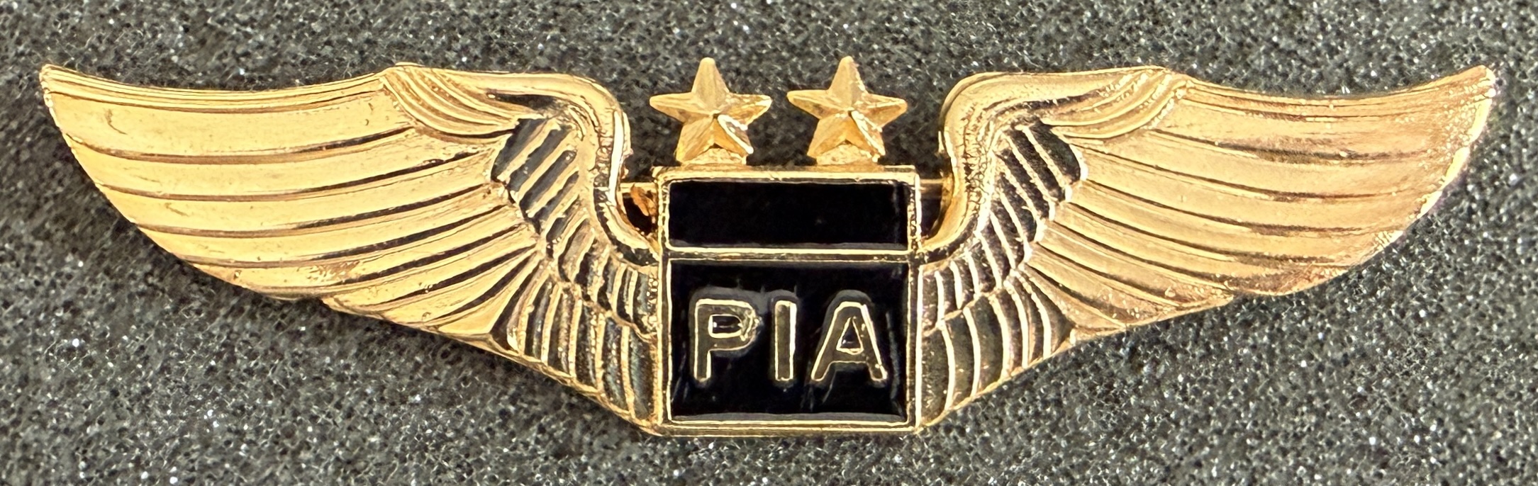 Pakistan International Airlines (PIA) Pilot (20 Years of Service)