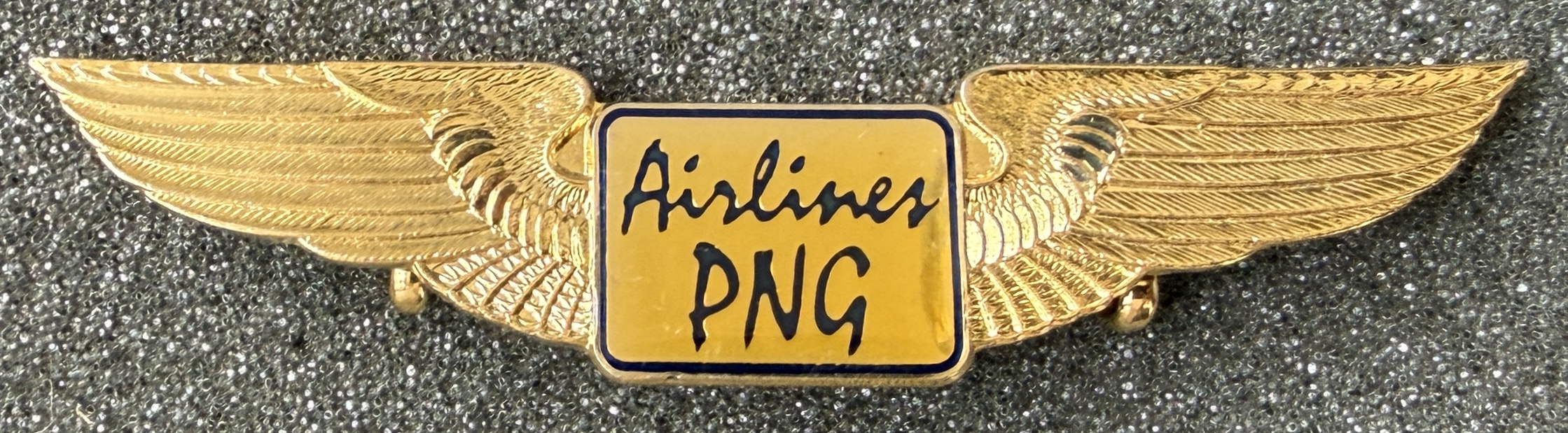 Airlines PNG Pilot