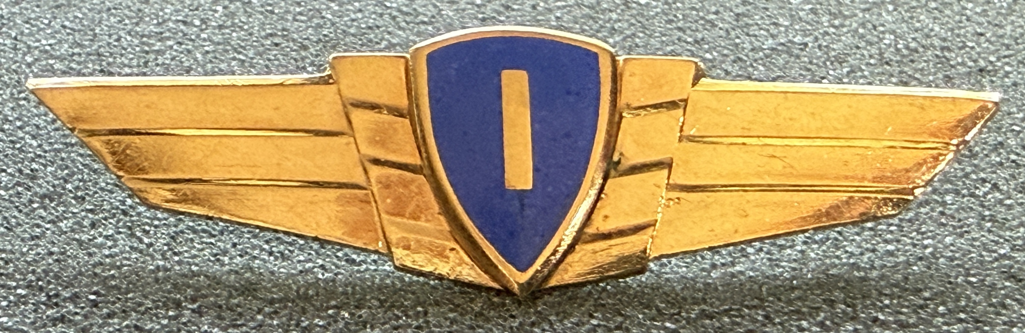 Lithuania Air Force Pilot Class 1