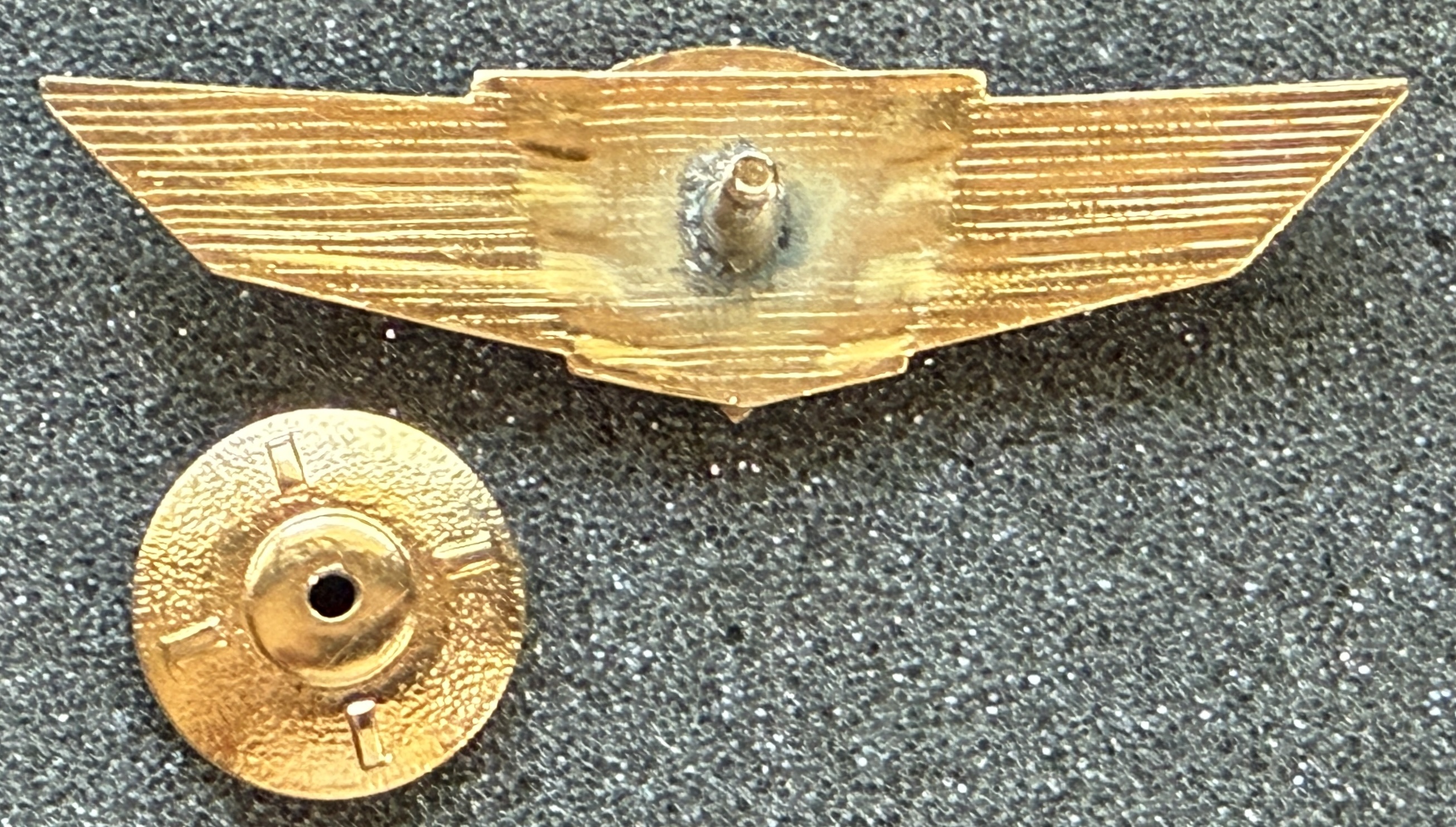 Image of Air Force Pilot Class 1 wing