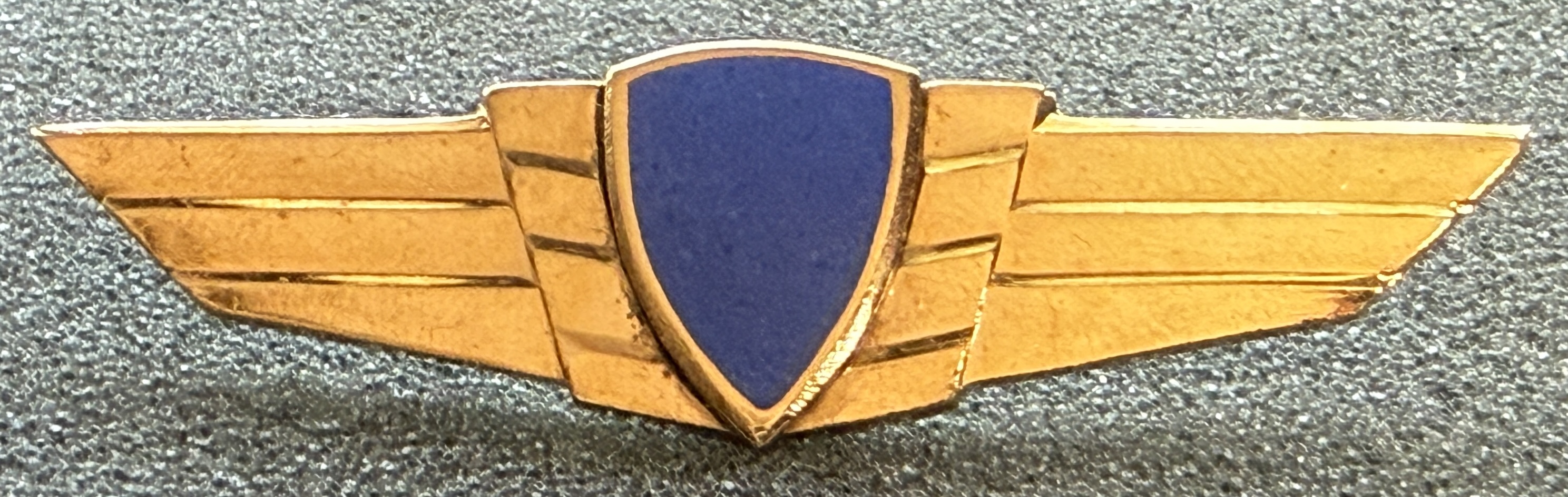 Lithuania Air Force Student Pilot