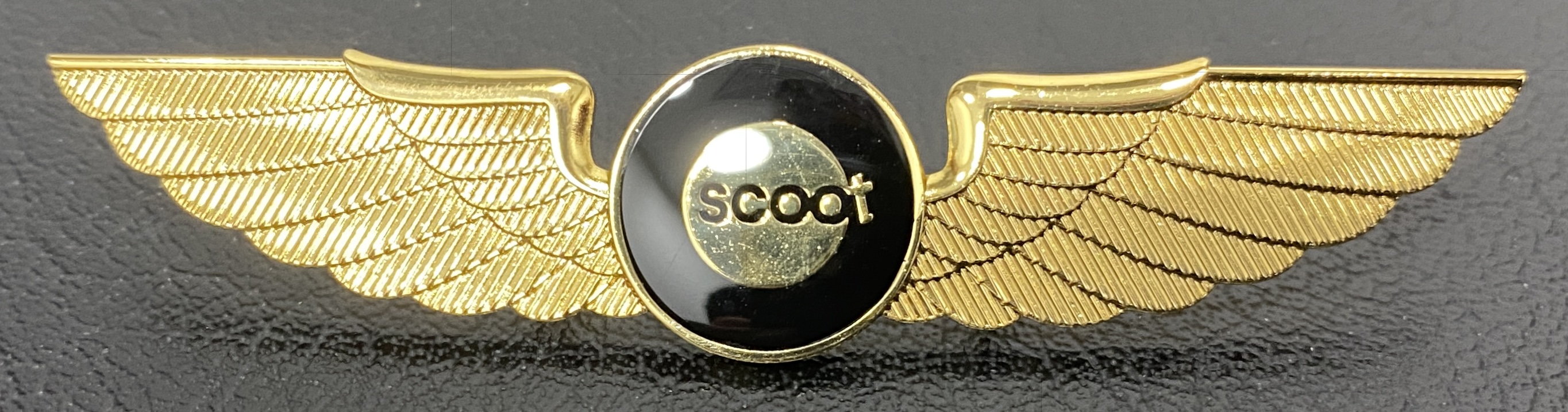 Scoot Airlines Pilot