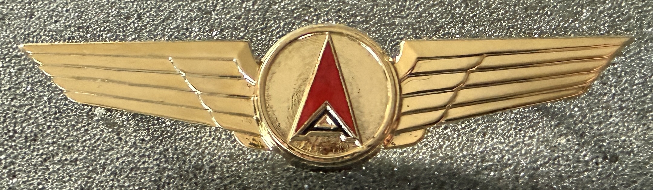 Aeroserv (Aero Services Barbados) Pilot