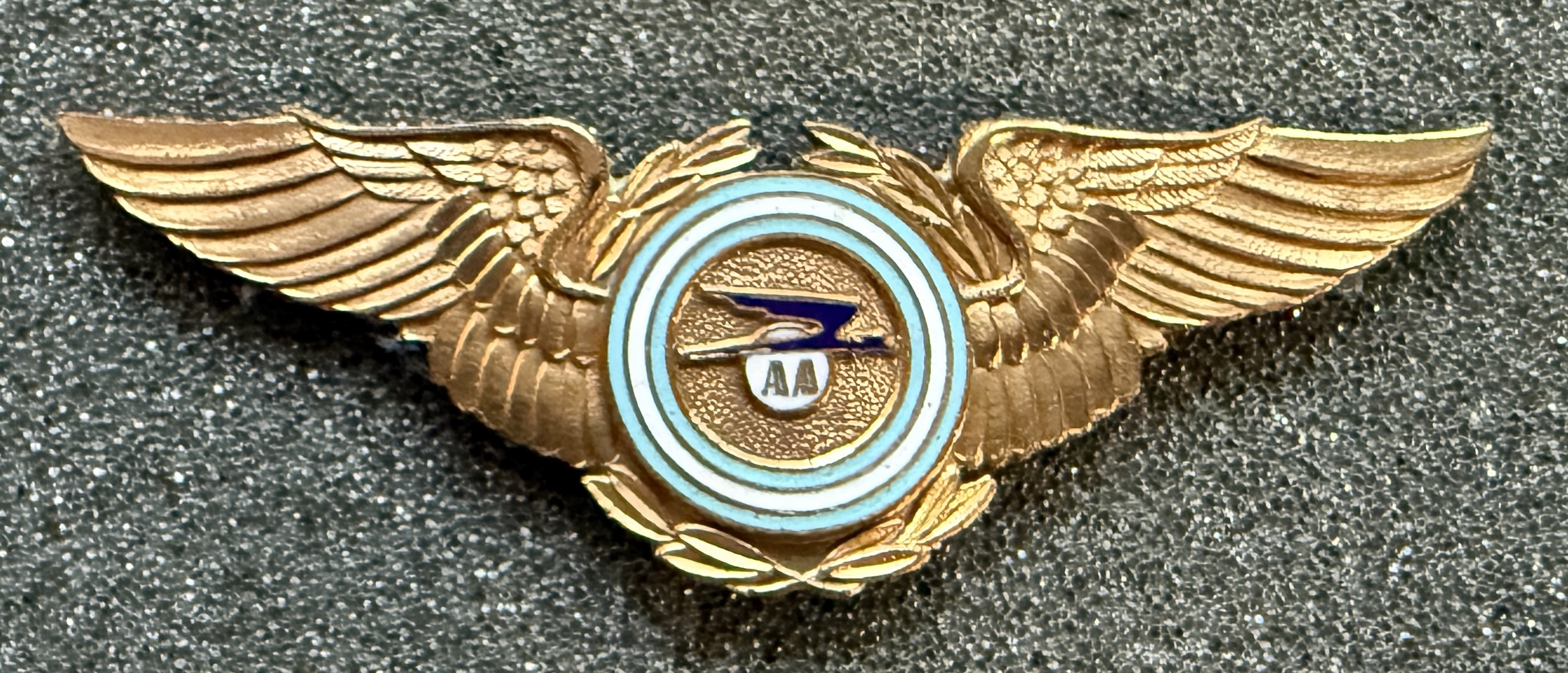 Aerolineas Argentinas Pilot