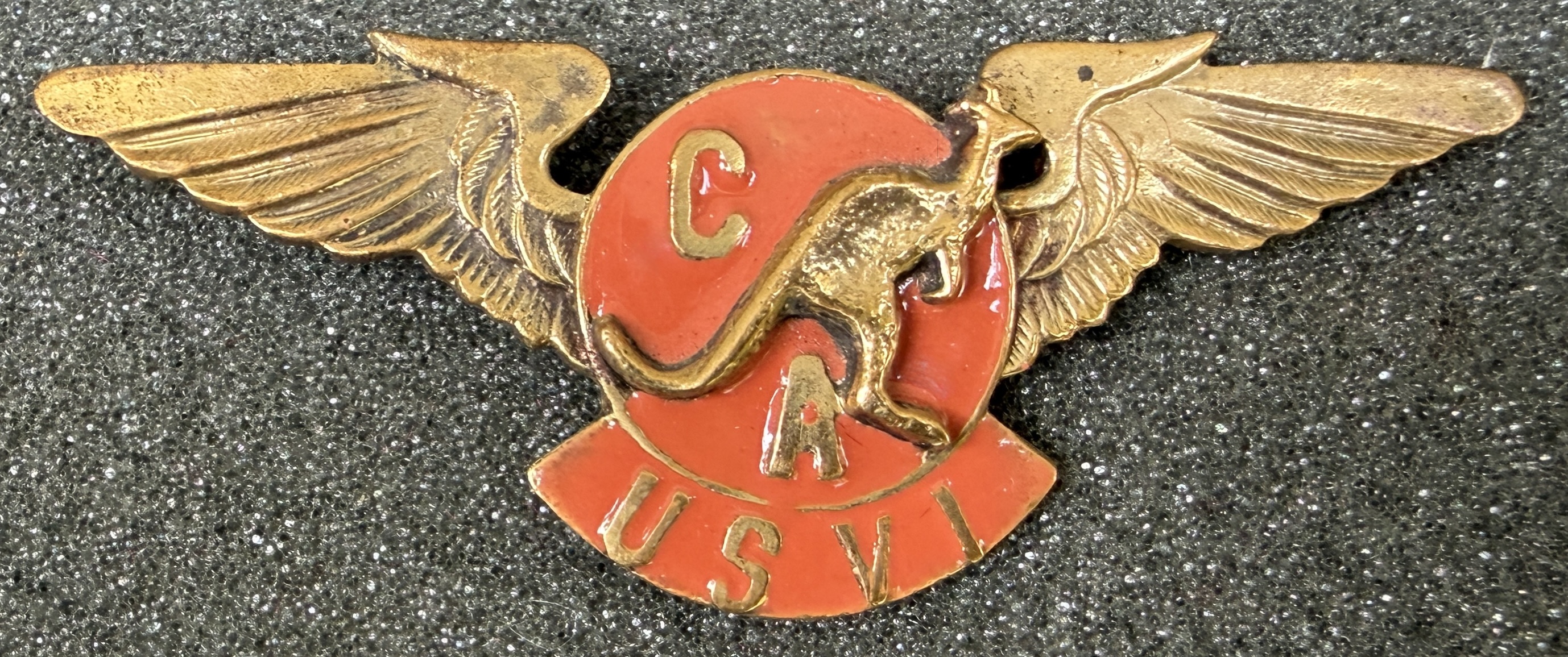 Coral Air United States Virgin Islands (CA USVI) Pilot