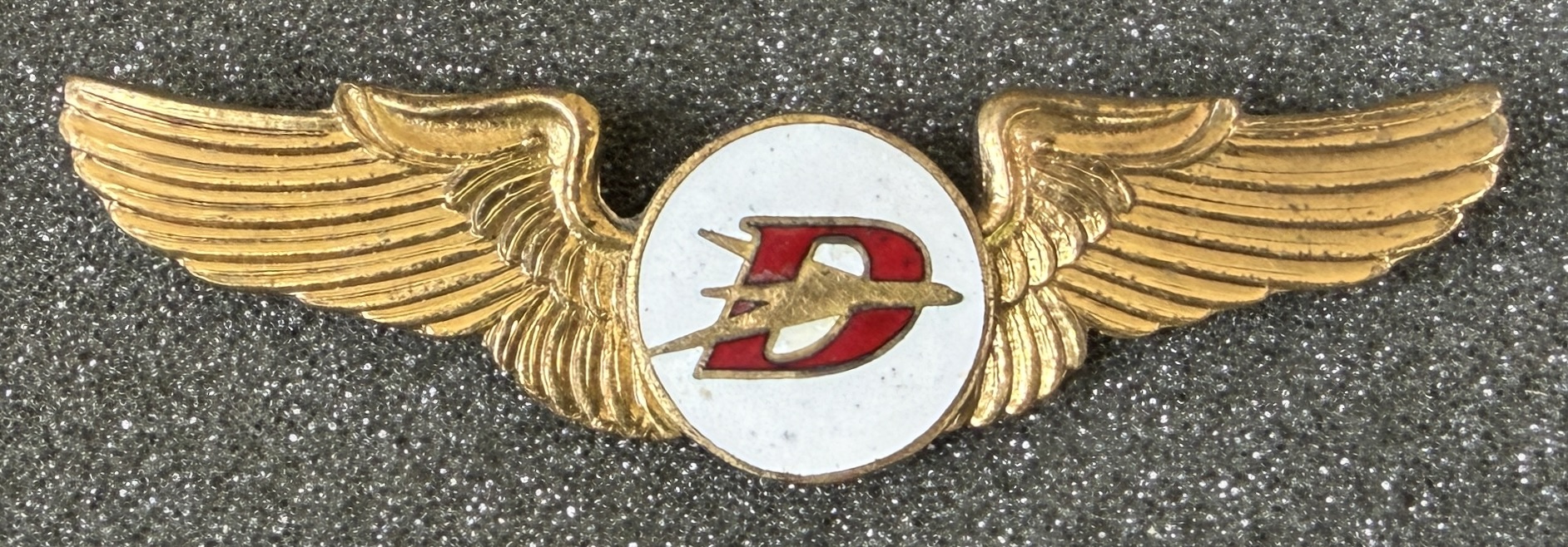 Dominicana Airlines Pilot