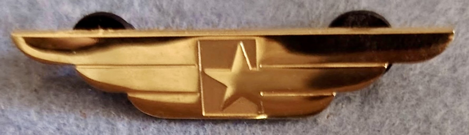Flitestar Pilot