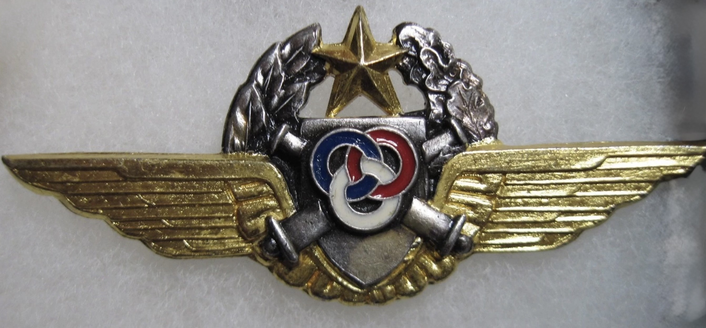 France Army Light Aviation (ALAT) Instructor Pilot