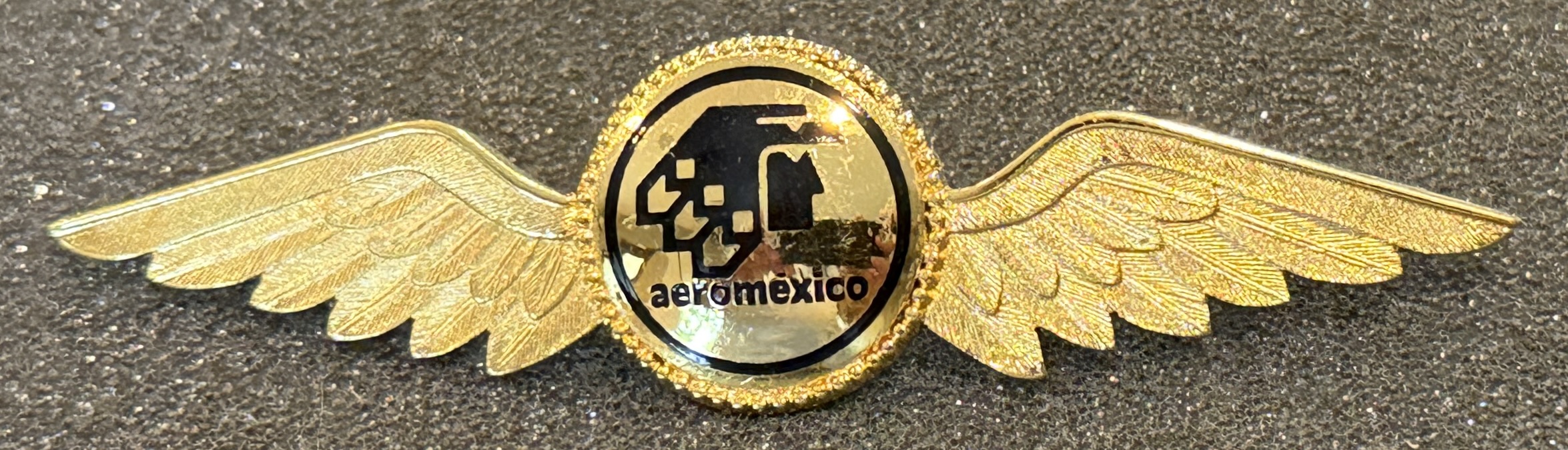 Aeromexico Pilot