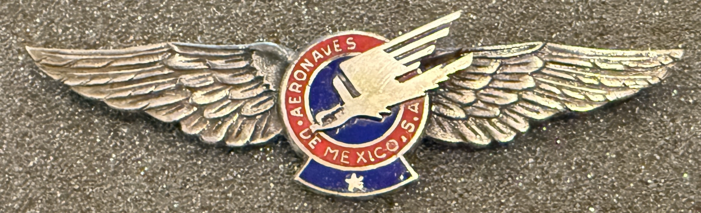 Aeronaves de Mexico Pilot
