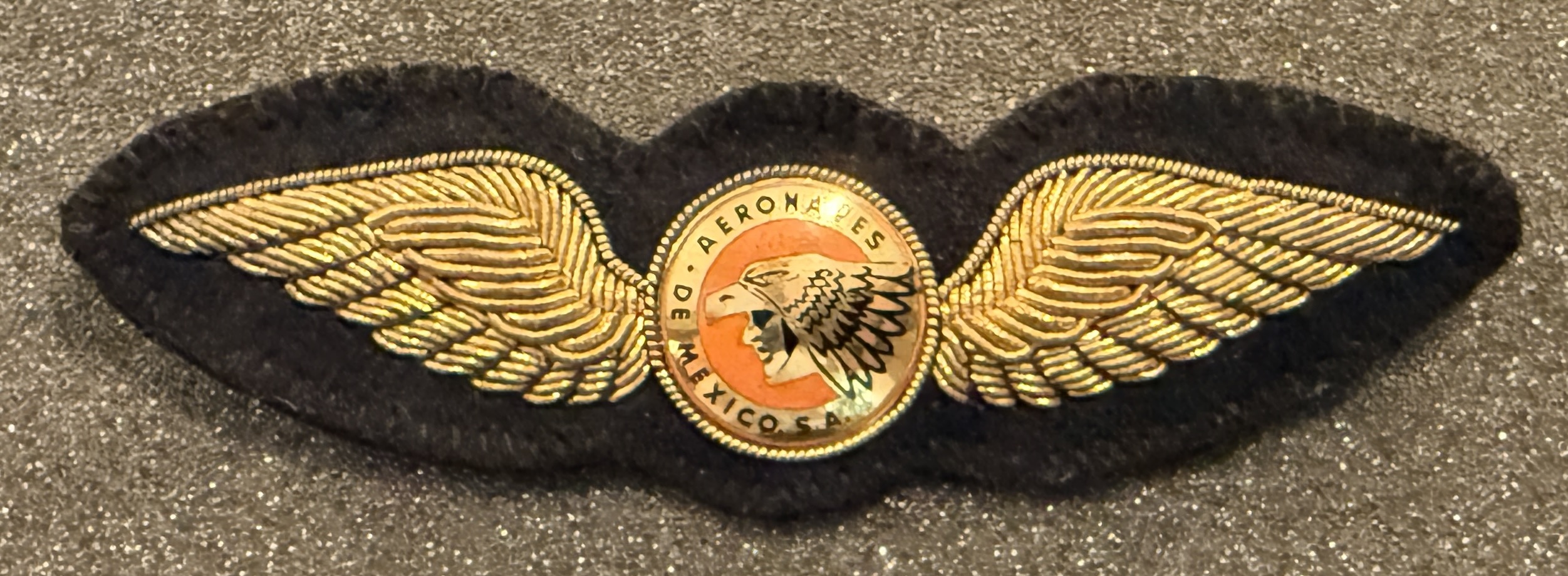 Aeronaves de Mexico Pilot