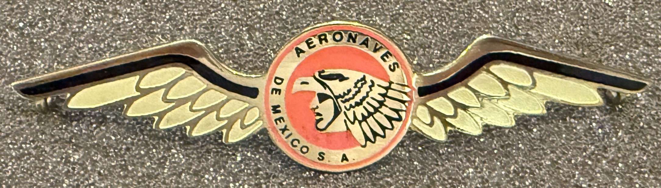 Aeronaves de Mexico Pilot