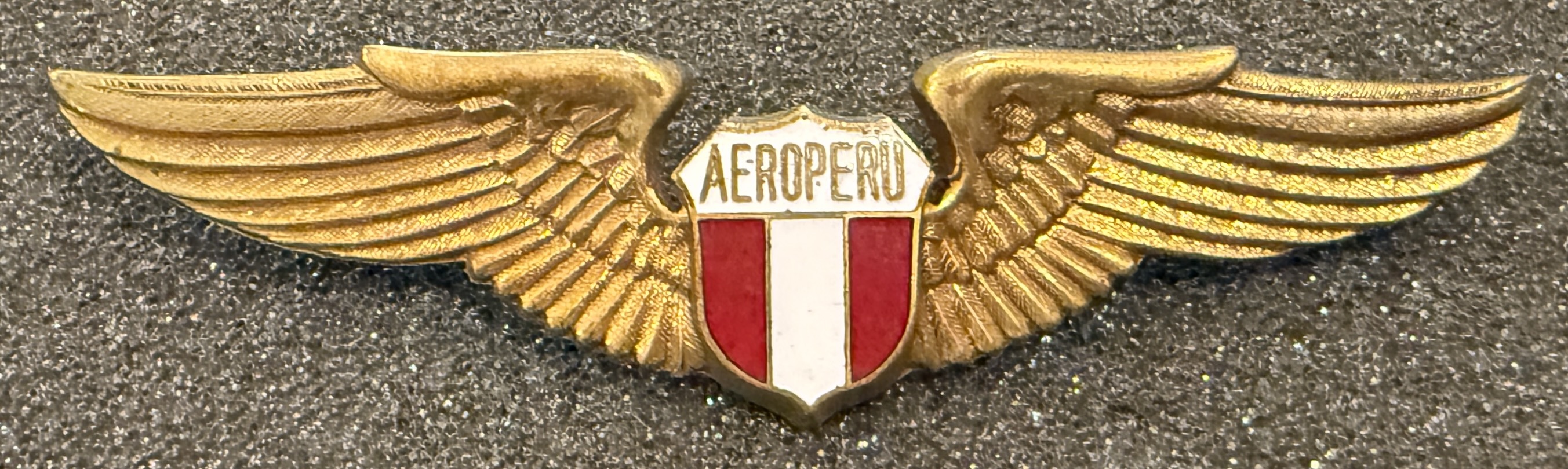 Aeroperu Pilot