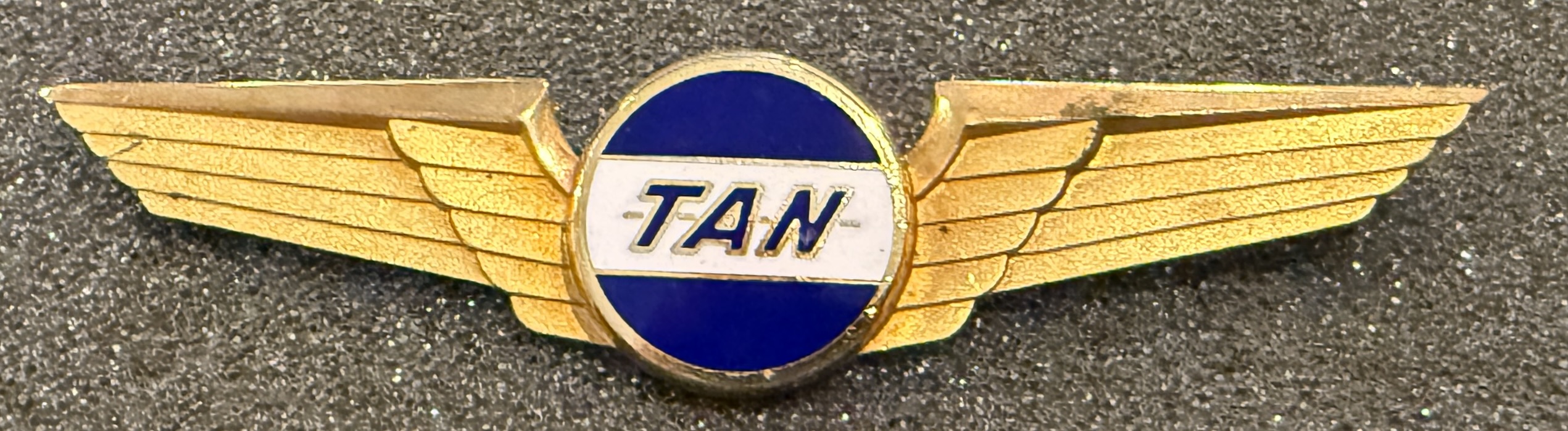 Transportes Aéreos Nacionales (TAN) Pilot