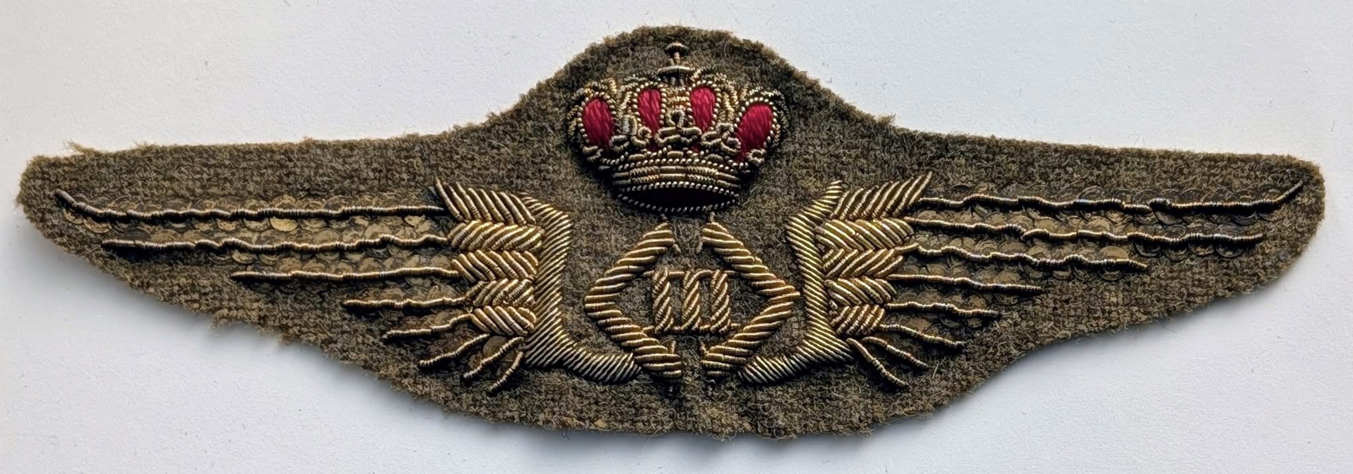 Belgium Air Force Pilot