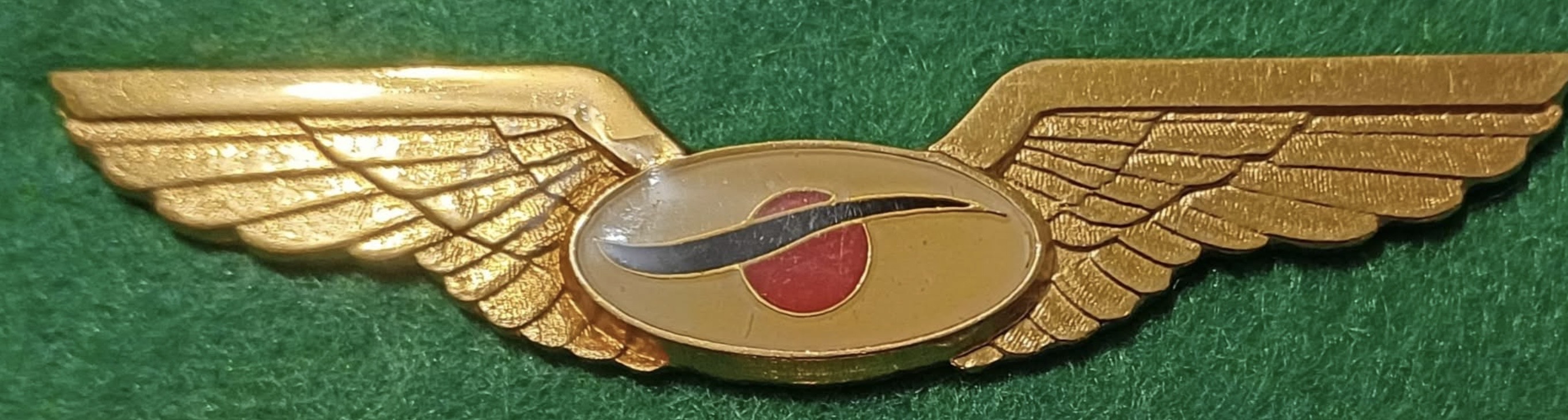 Image of Unknown - African Airline ?  wing