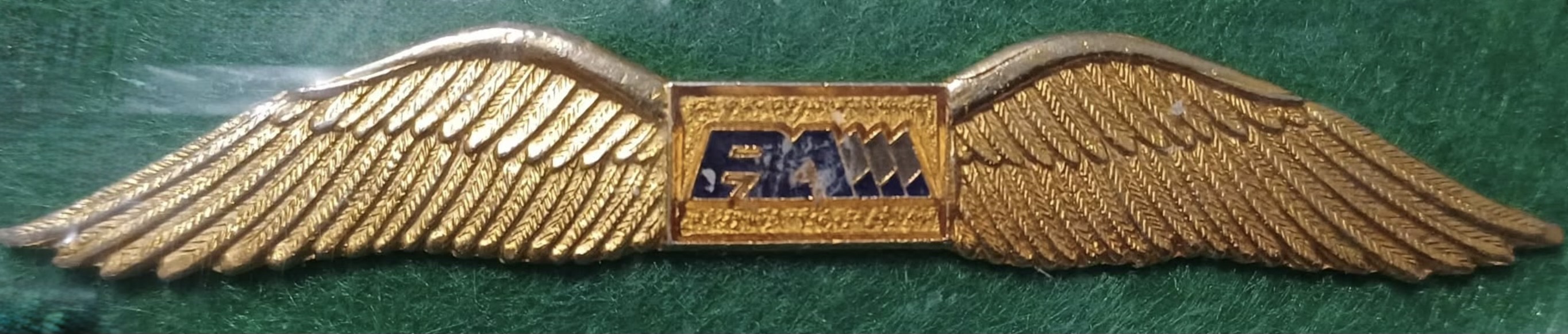 Image of Unknown - BAM  wing