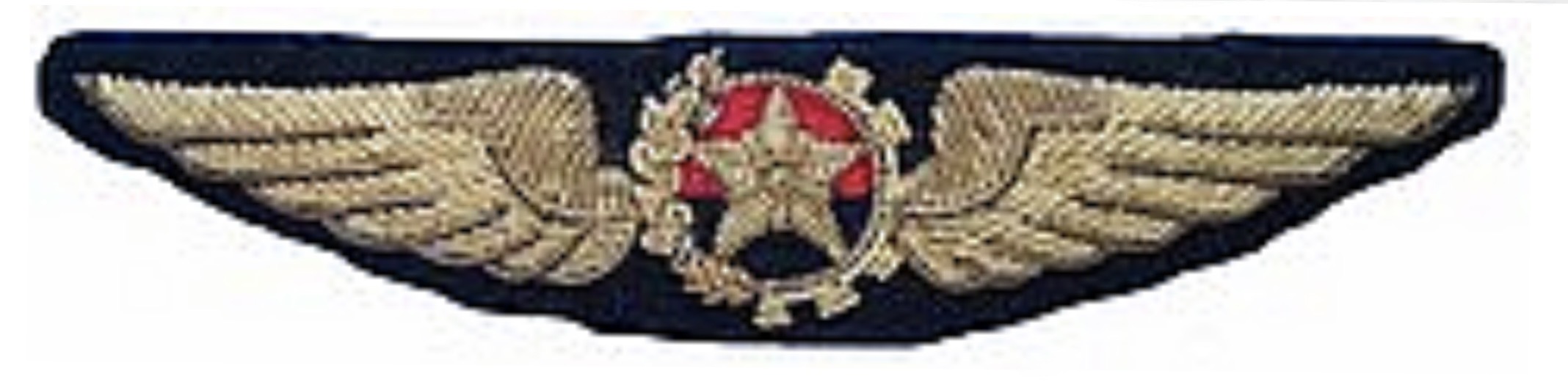 Angola Air Force Pilot