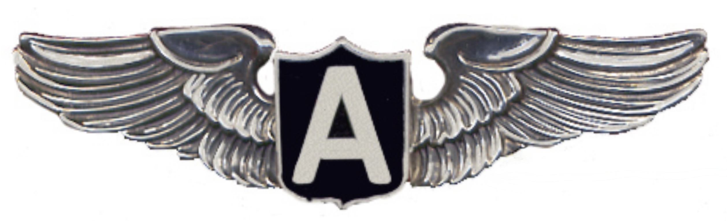 AAXICO Airlines Pilot