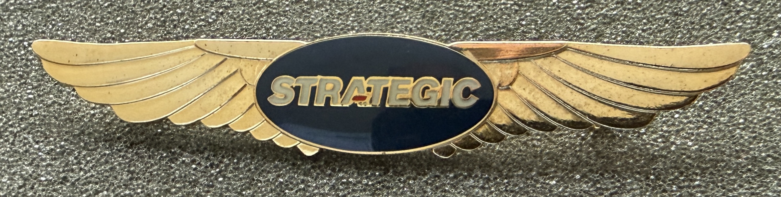 Strategic Airlines Pilot