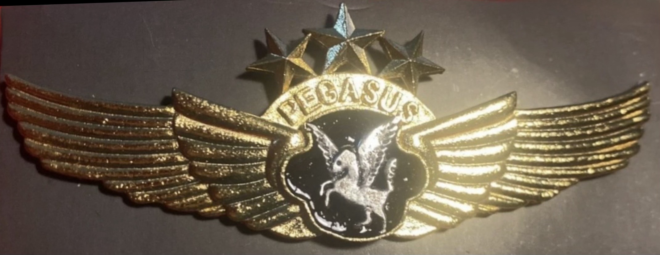 Pegasus Airlines Captain